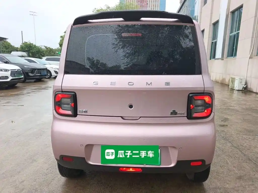 Фото 6 - Geely Galaxy Panda