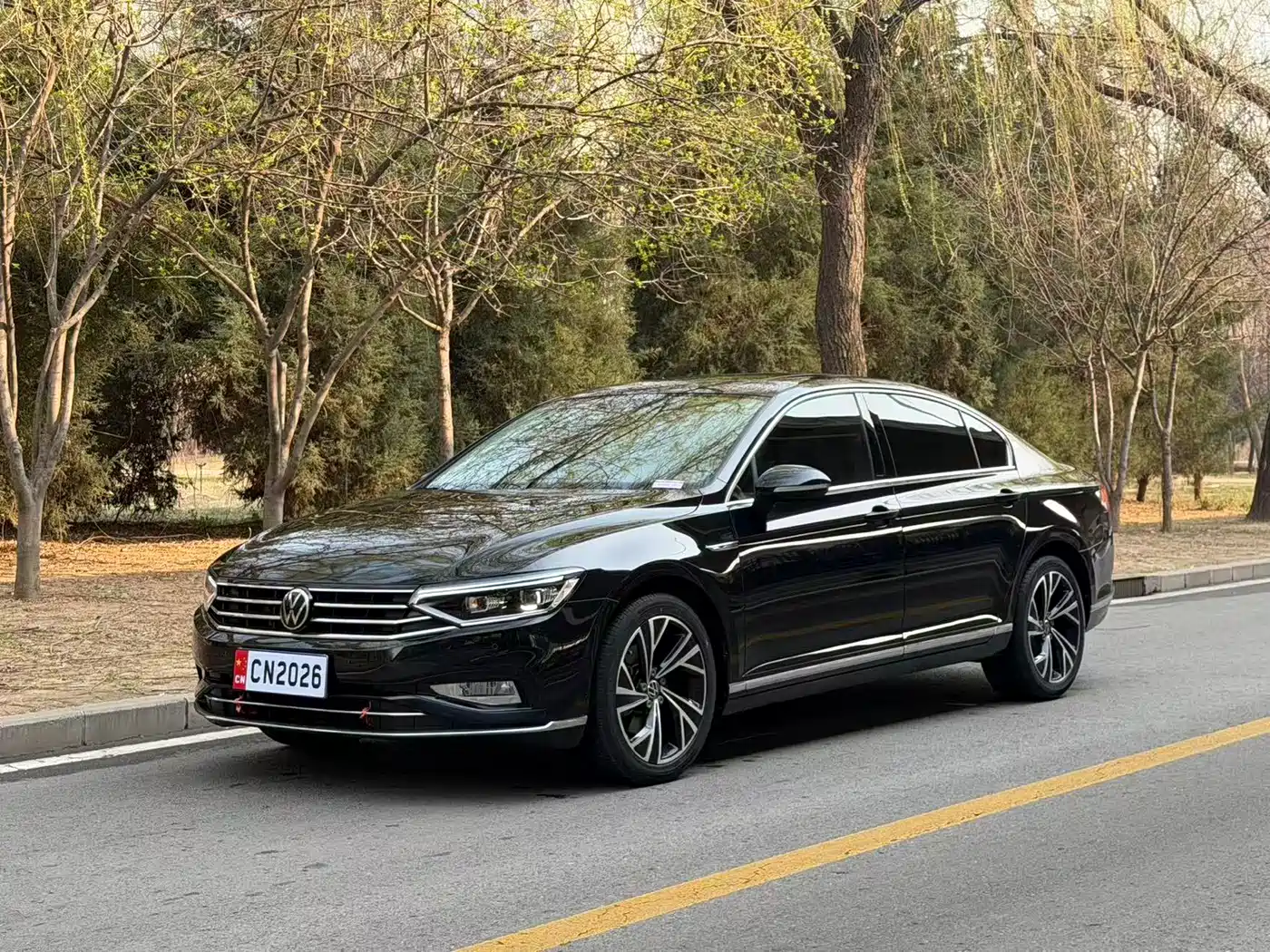 Volkswagen Magotan 2021 330TSI DSG 30th Anniversary Edition