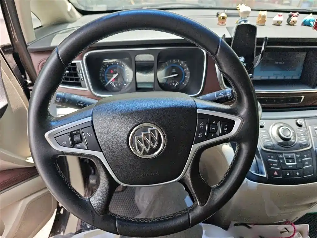 Buick GL8 2014 2.4L LT Luxury Business Executive фото 3