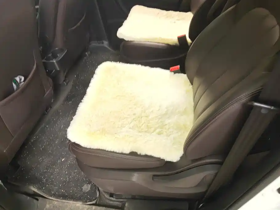 GAC Trumpchi Trumpchi M6 2019 270T DCT Premium Edition (7-seater) (China VI) фото 11