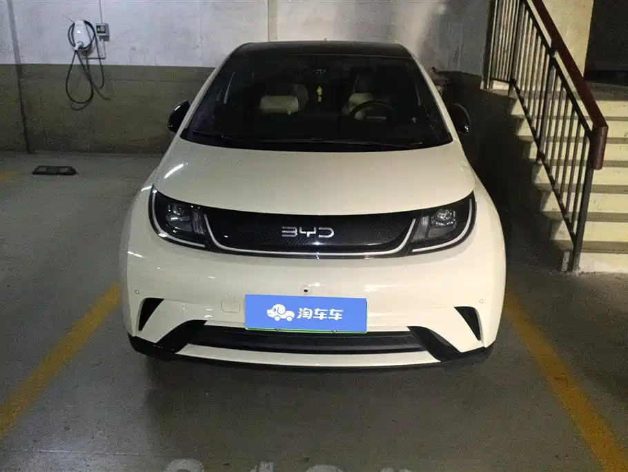 BYD Dolphin 2025 420km Fashion Edition фото 2