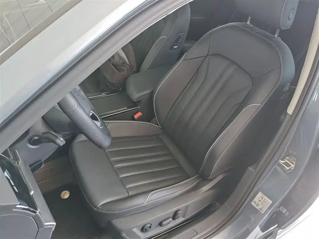 Volkswagen Passat 2022 330TSI Starlight Elite Edition фото 15