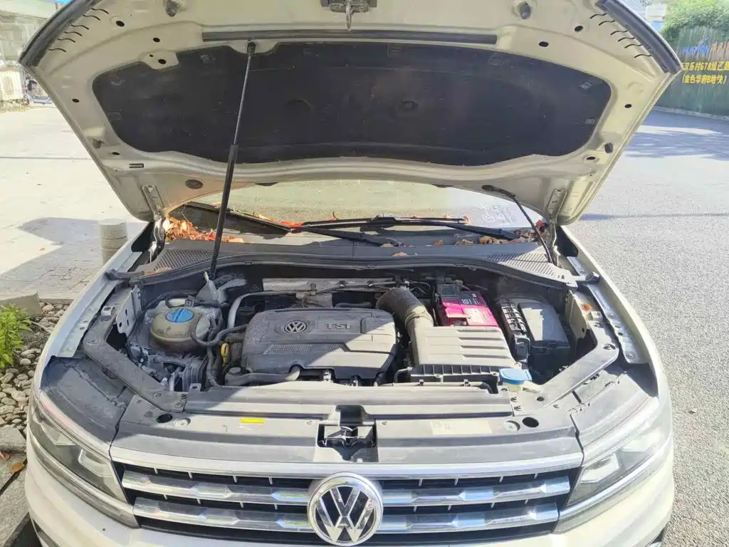 Фото 3 - Volkswagen Tiguan L