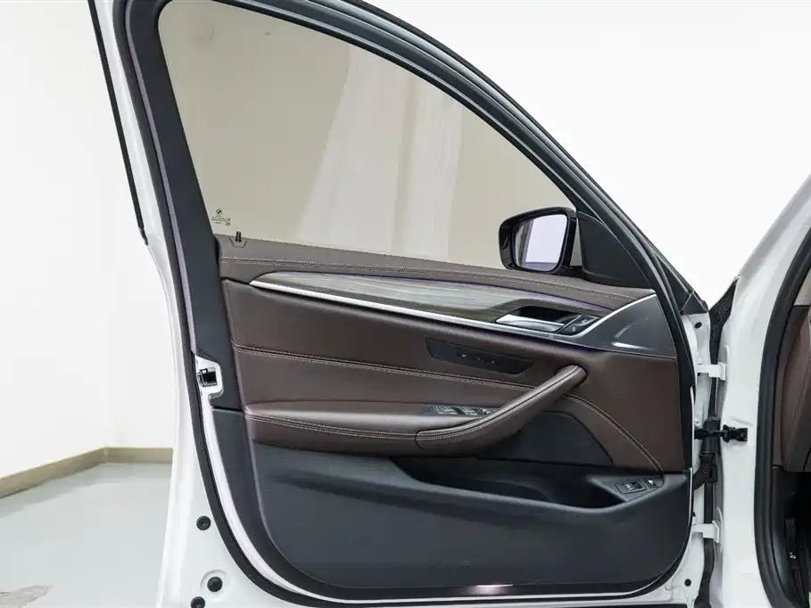 BMW 5 SERIES NEW ENERGY