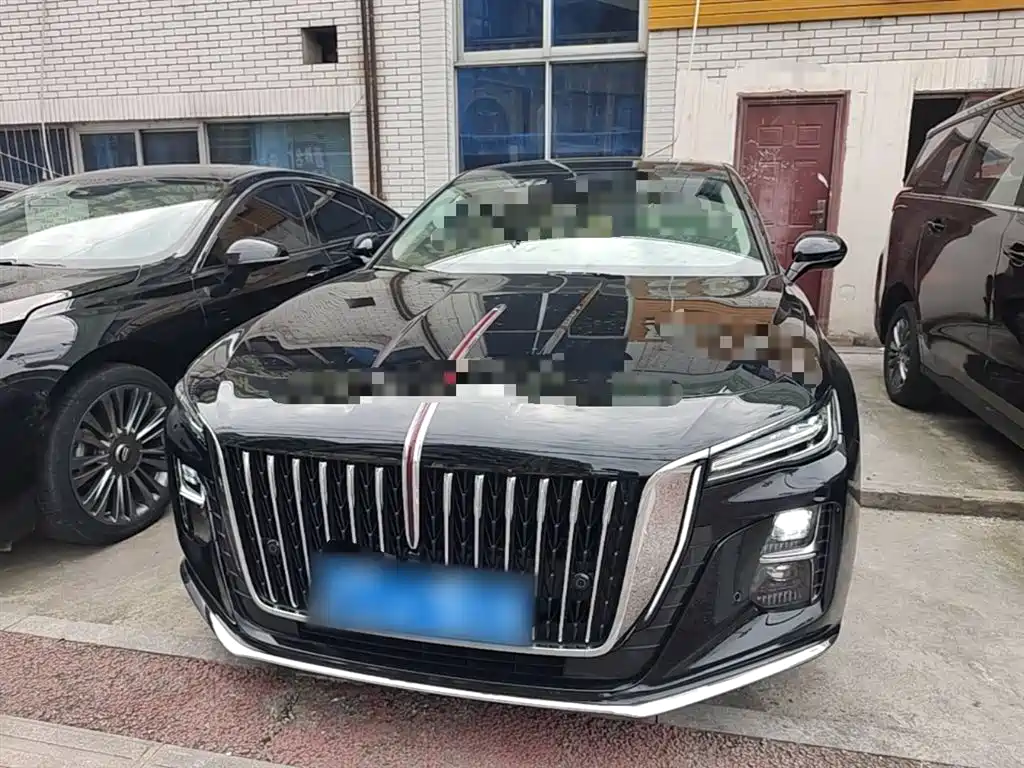 Hongqi H5 2024 1.5T DCT Smart Connect Flag Rhythm Edition фото 3