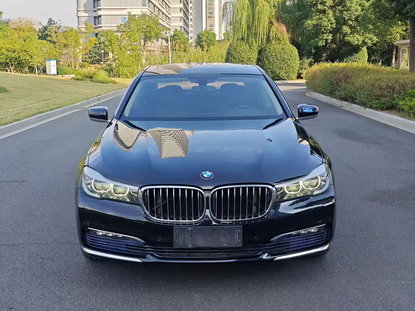 BMW 7 Series 2017 730Li Leading Edition фото 2