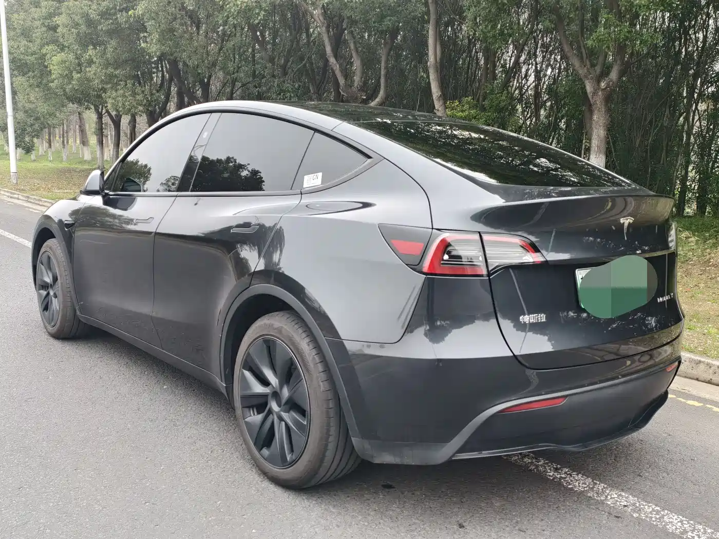 TESLA MODEL Y