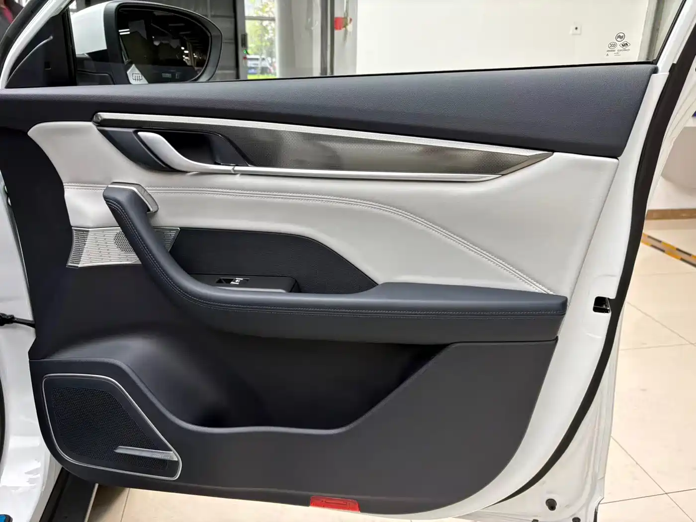 Weltmeister WEIMA EX5