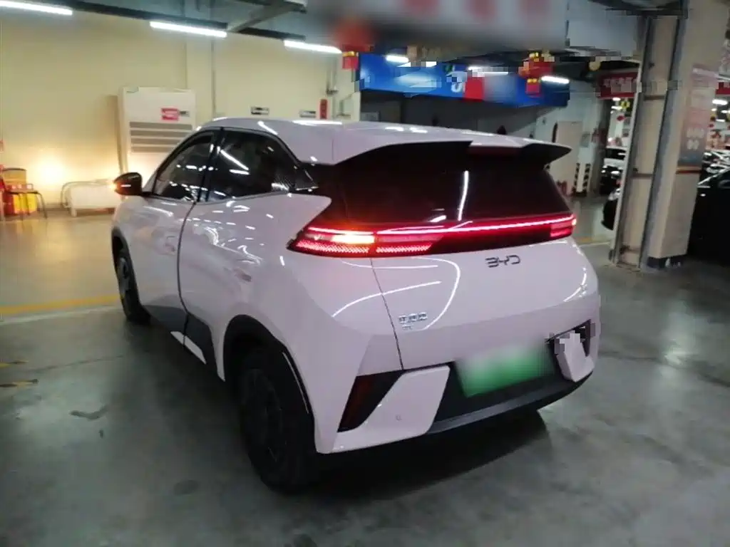 BYD Seagull 2025 Smart Drive Edition 305km Vitality Version фото 5