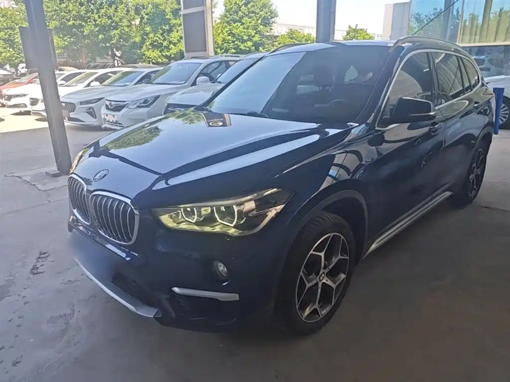 BMW X1 2018 xDrive20Li Premium Model