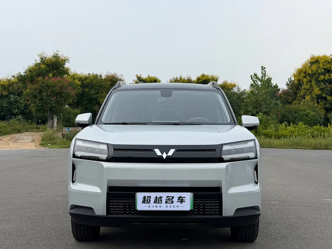 Wuling Motors Starlight 560 NEV 2026 2025 Model Pure Electric Version 5-seater