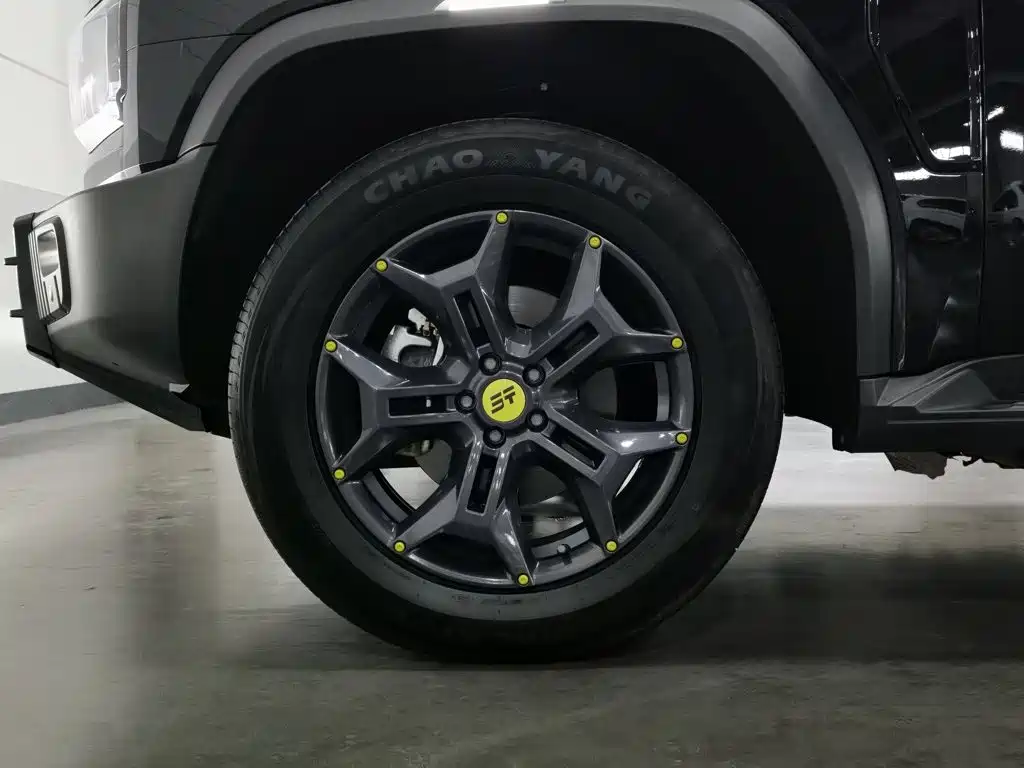 Jetour Shanhai T2 2025 2024 C-DM 129KM Forest Edition