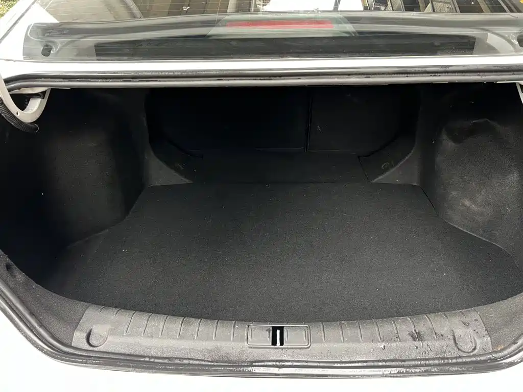 Фото 9 - Geely Binrui