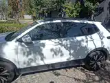 صورة 25 - Volkswagen Tharu