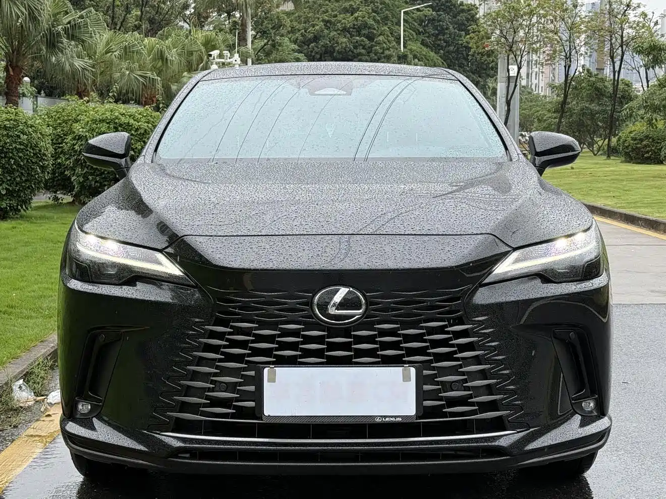 Lexus RX 2025 350h 2WD Joy Edition фото 5