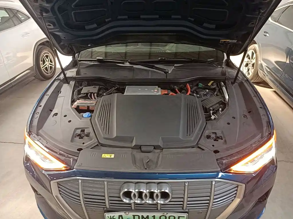 Audi e-tron (Import) 2020 2019 55 quattro Fashion