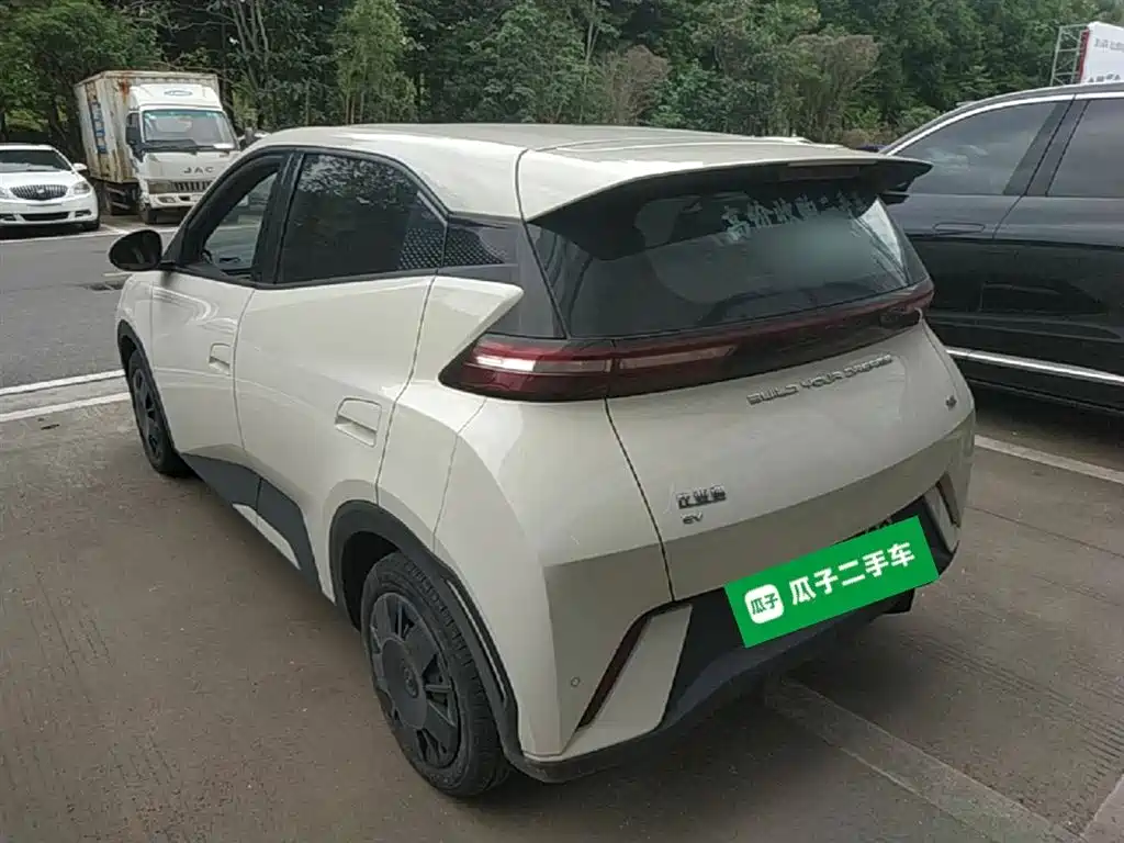 BYD Seagull 2024 Glory Edition 305km Vitality Edition фото 5