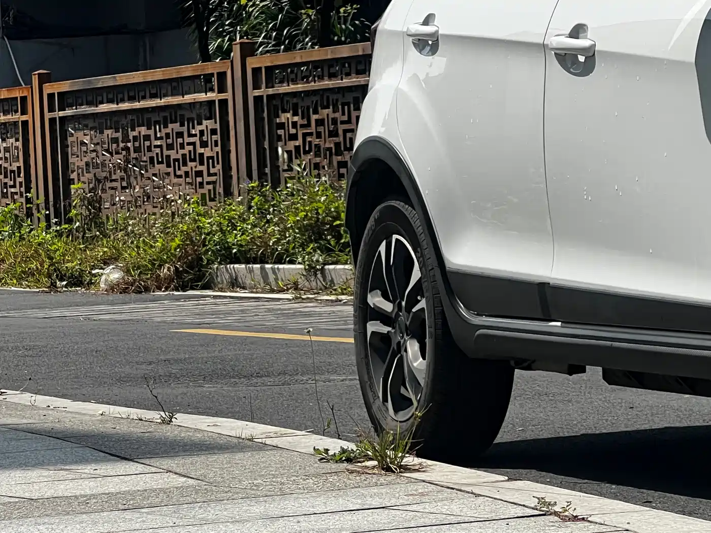 GEELY GEOMETRY EX3 KUNG FU COW