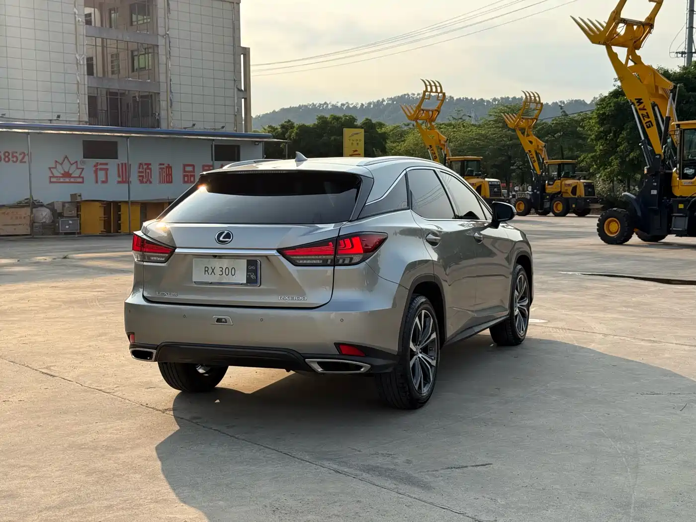 Lexus RX 2021 300 AWD Special Edition фото 9