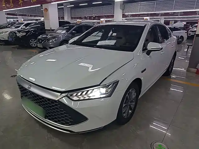  BYD Qin PLUS 2024 Glory Edition DM-i 55KM Leading