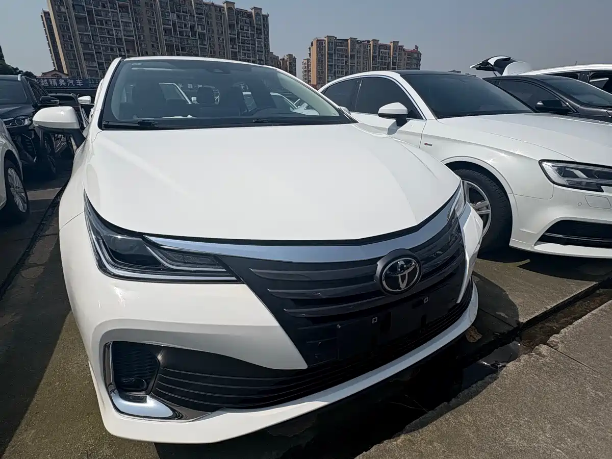 TOYOTA ASIAN LION
