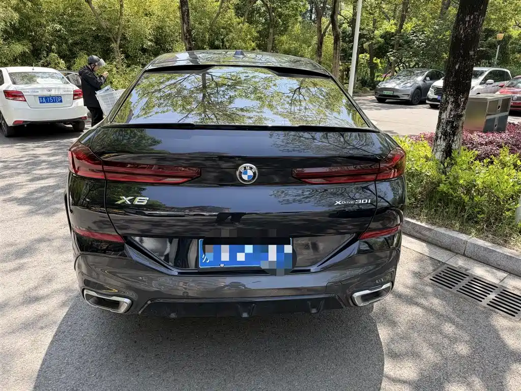 BMW X6