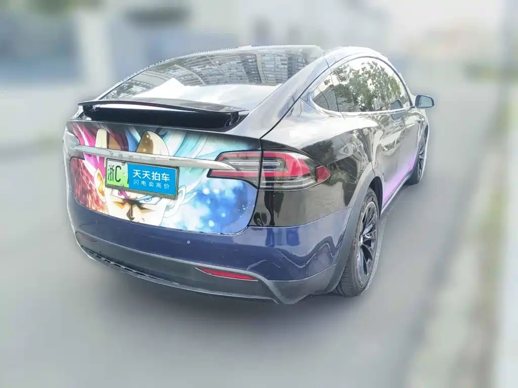 Фото 2 - Tesla Model X