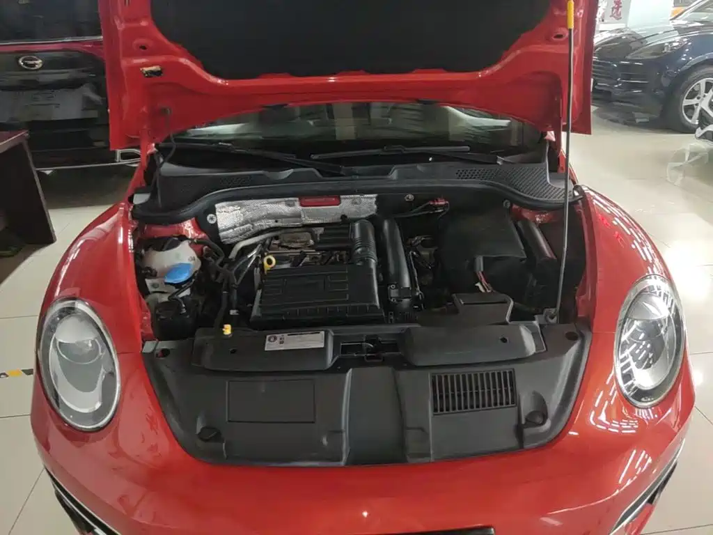 Фото 20 - Volkswagen Beetle