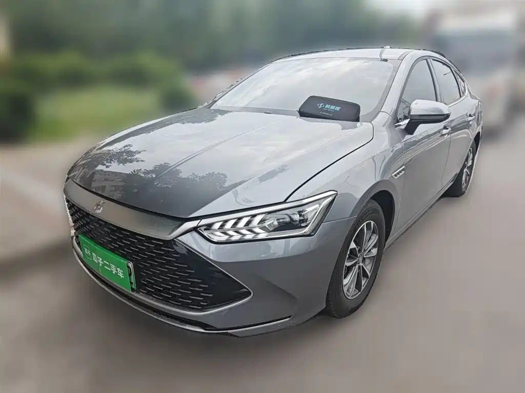BYD Qin PLUS 2024 Glory Edition DM-i 55KM Leading фото 2