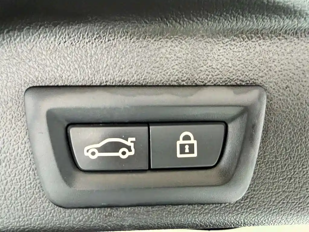 BMW X5 (Import) 2021 Facelift xDrive30i M Sport Package фото 27