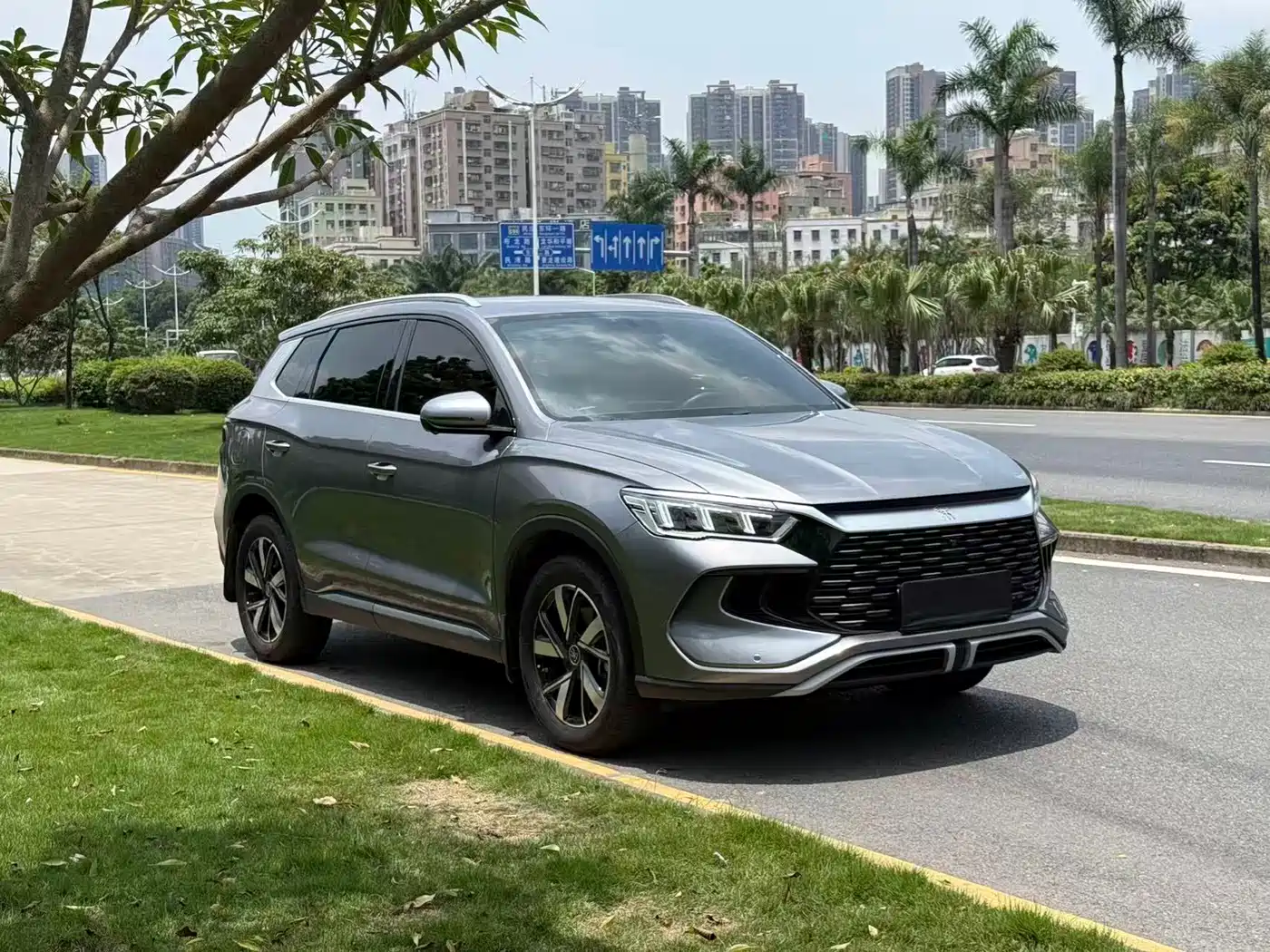 BYD Song Pro New Energy 2024 Glory Edition DM-i 71KM Pilot фото 3