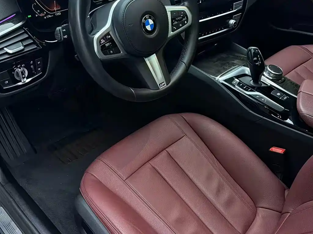 BMW 5 Series 2020 530Li Leading M Sport Package фото 6