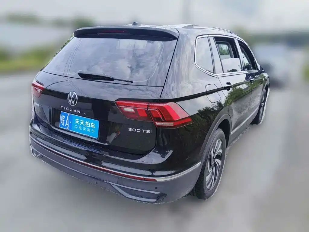 Volkswagen Tiguan L 2025 2025 Model 300TSI Auto 2WD Dragon Edition