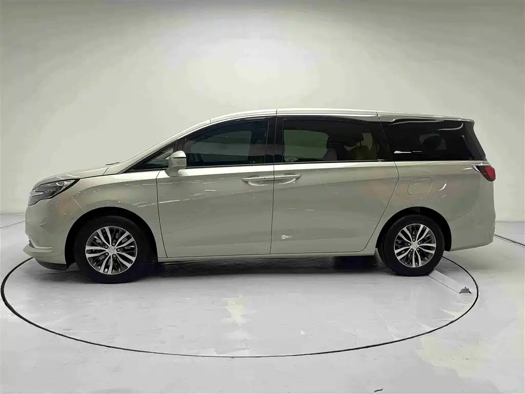 Buick GL8 2022 ES Landmark 653T Premium фото 19