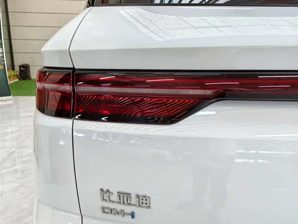 BYD Song Pro New Energy 2024 Glory Edition DM-i 71KM Pilot фото 7
