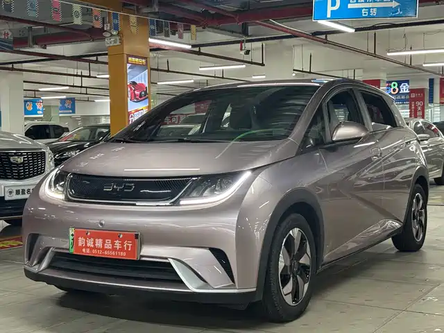 BYD Dolphin Слава, 420km, Свобода