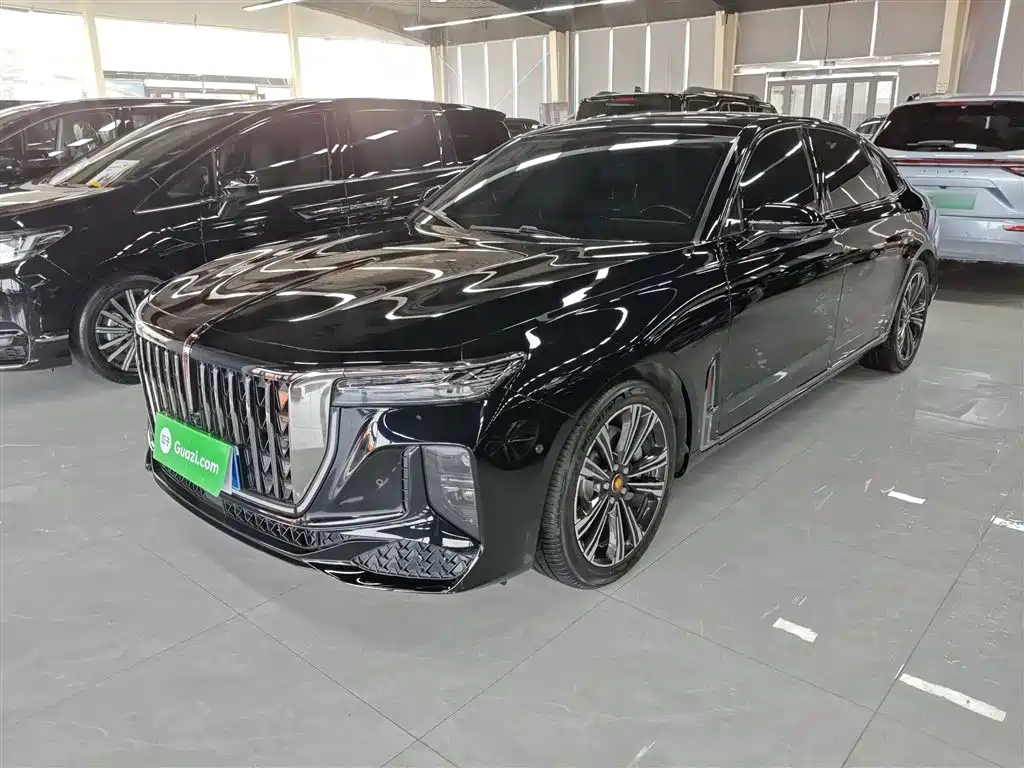 Hongqi H9 2024 2.0T Qi Chang Private Fashion Edition