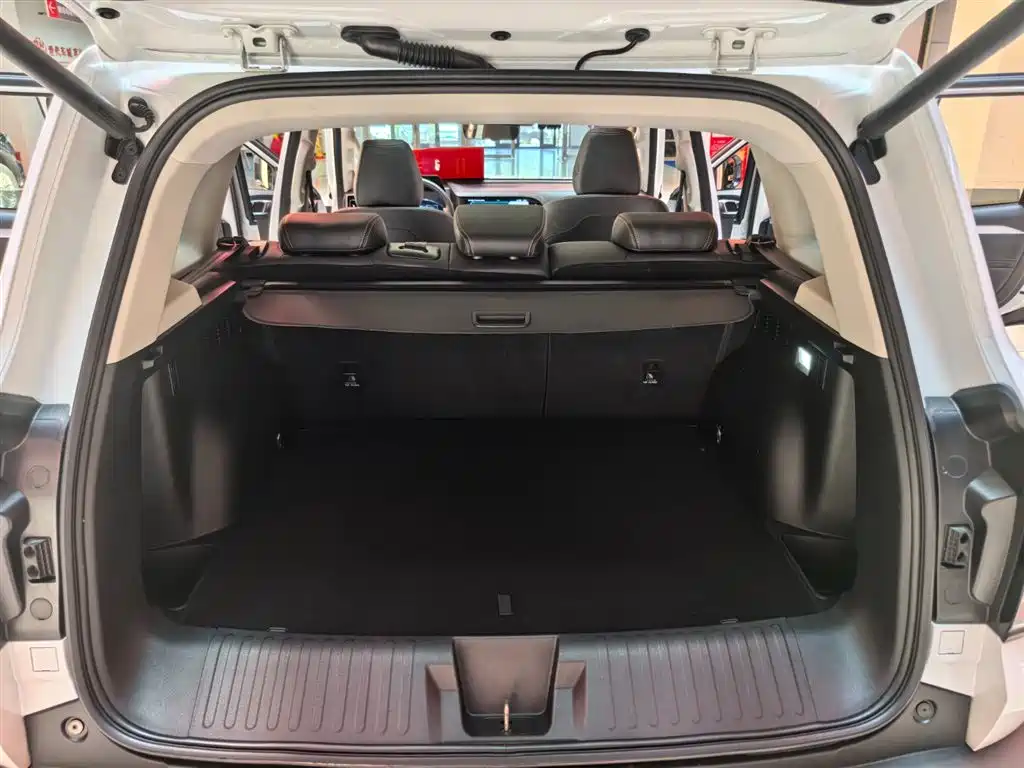 Haval Big Dog 2021 1.5T DCT 2WD Border Collie Edition фото 20