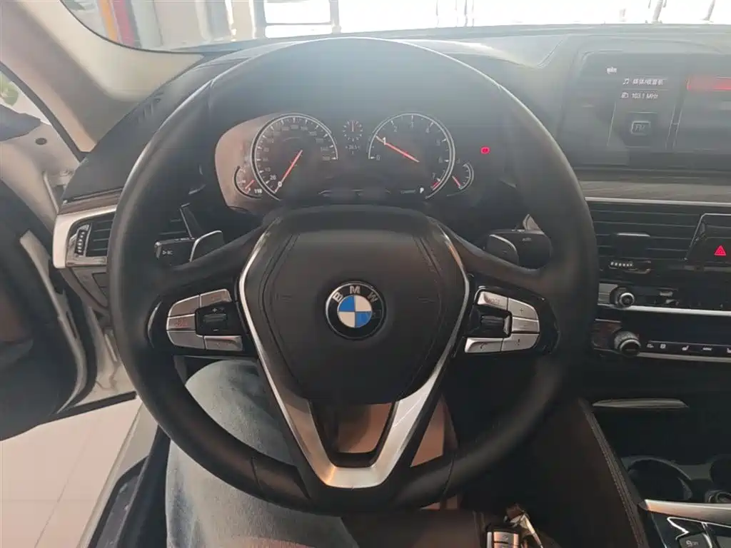 BMW 5 Series 2018 Facelift 530Li Exclusive Luxury Package фото 11