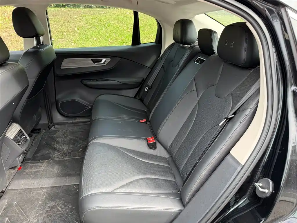 Hongqi E-QM5 2023 620km PLUS фото 10