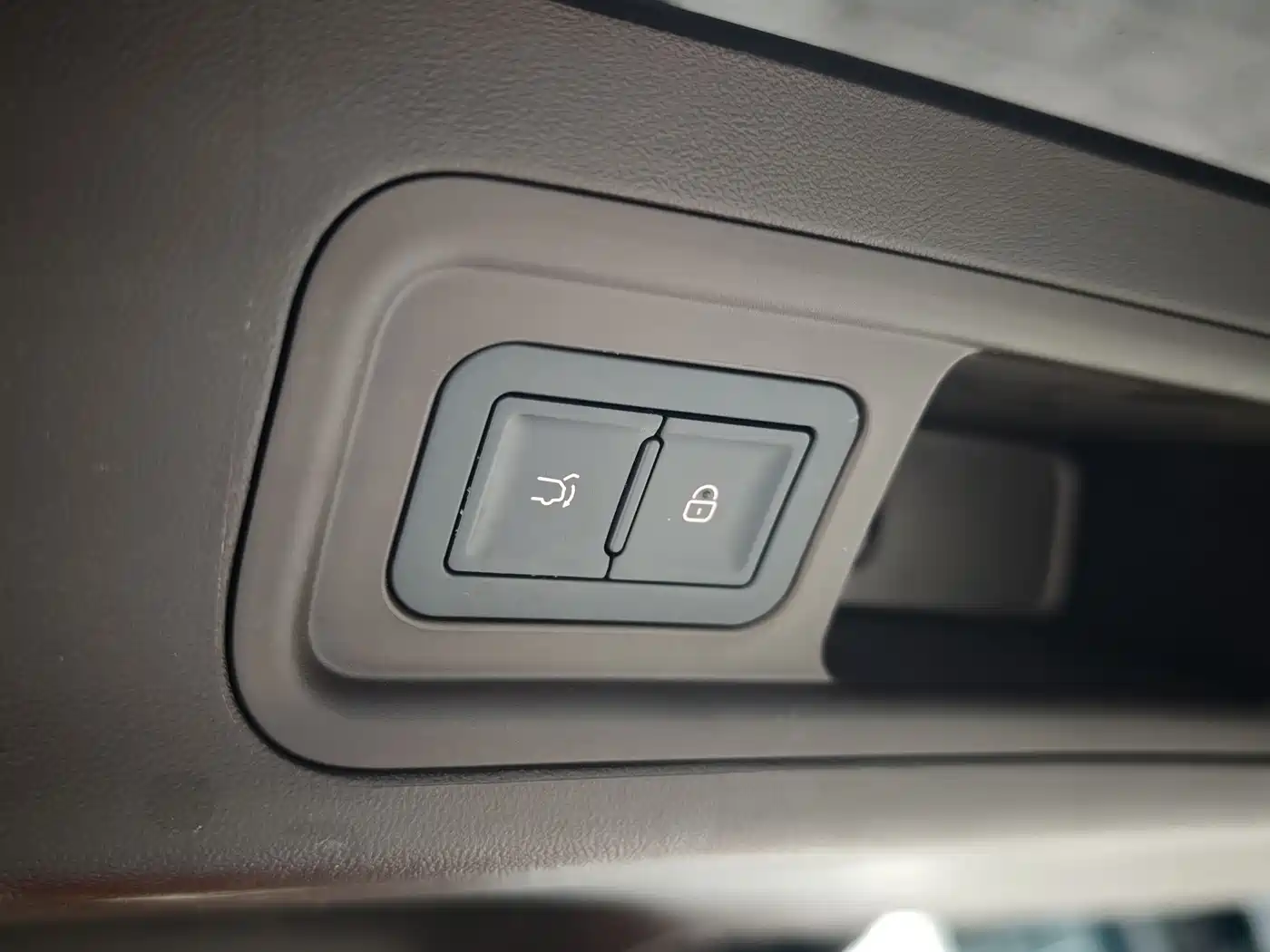 Denza D9 2024 DM-i 980 AWD Premium фото 23