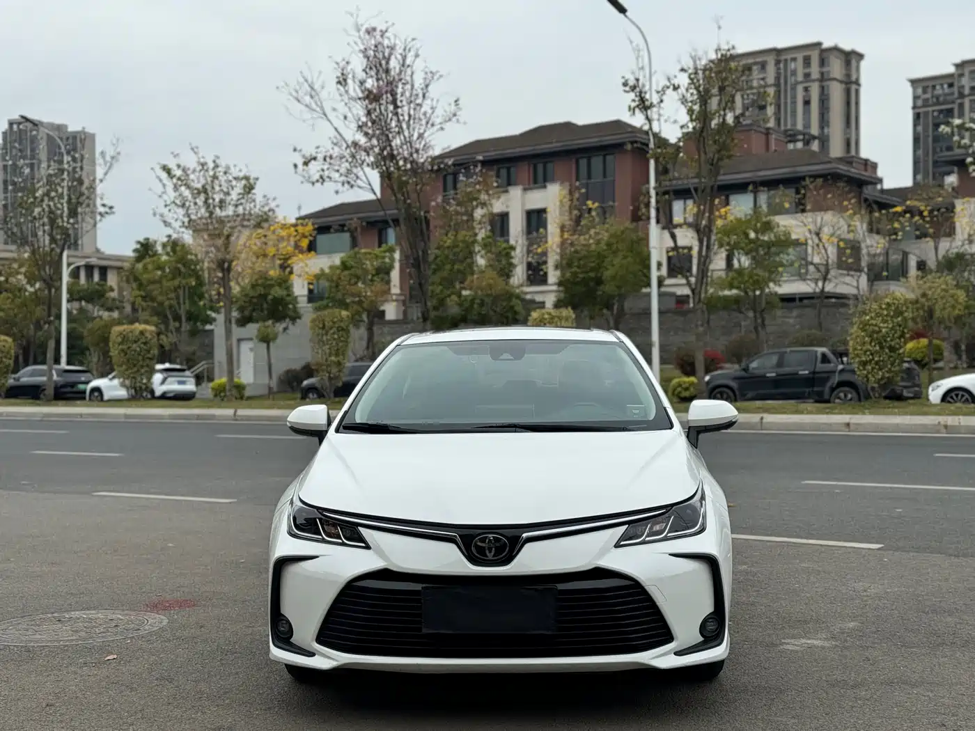 Toyota Corolla 2021 1.2T S-CVT Elite Edition фото 2