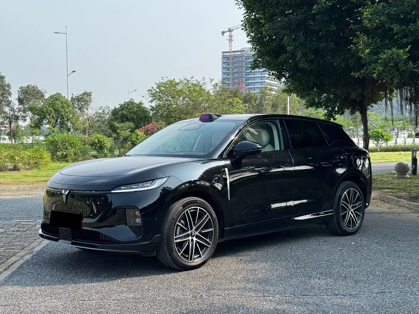 Voyah Auto Voyah Zhiyin 2025 Base