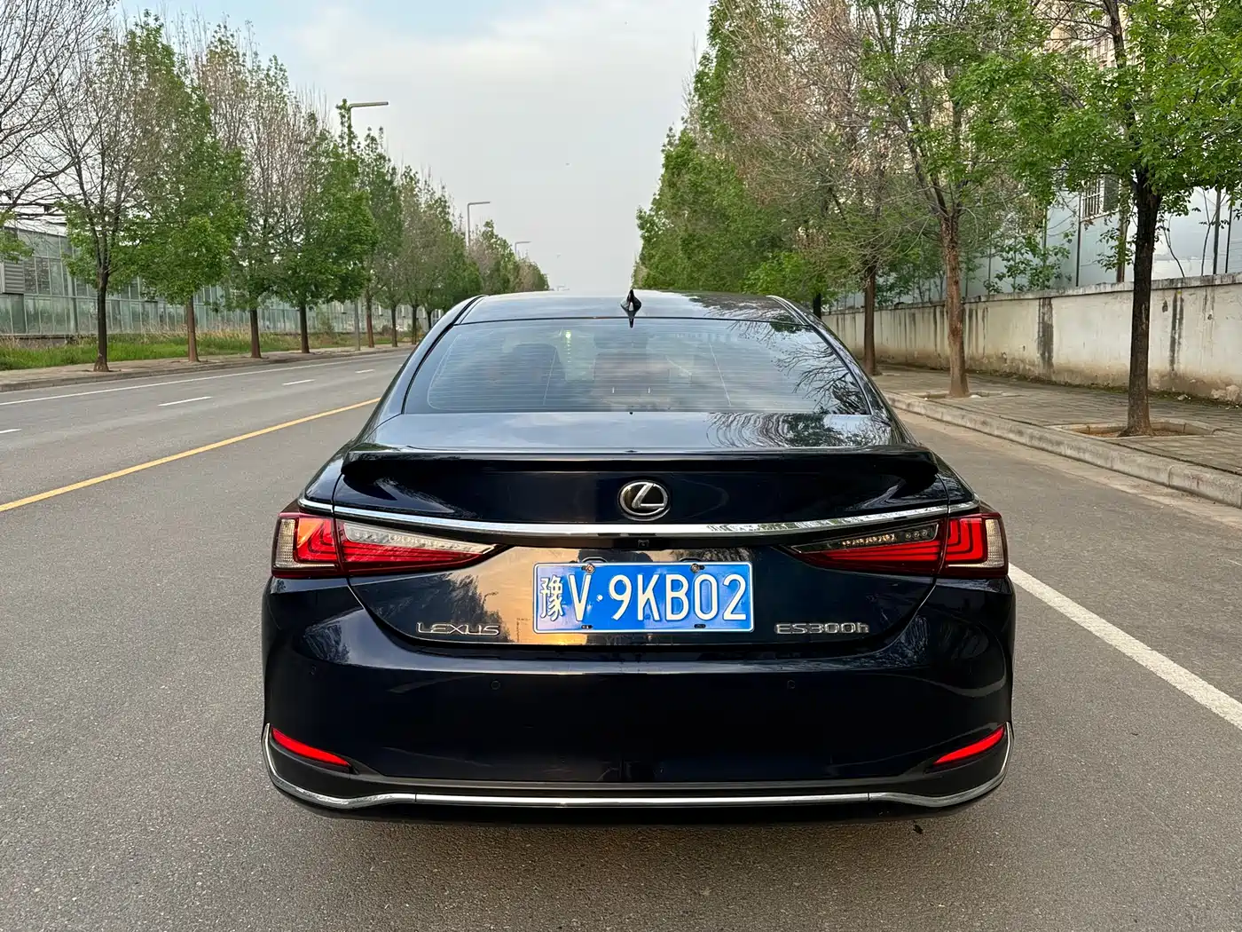 Lexus ES 2022 300h Excellence Edition фото 14