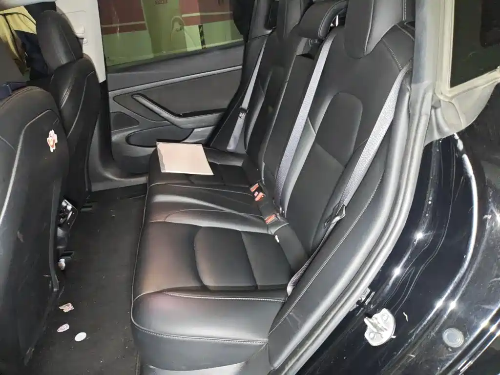 Tesla Model 3 2020 2020 Standard Range Rear-Wheel Drive Upgrade