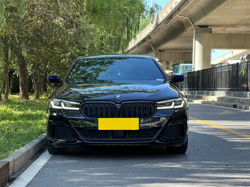 BMW 5 SERIES NEW ENERGY