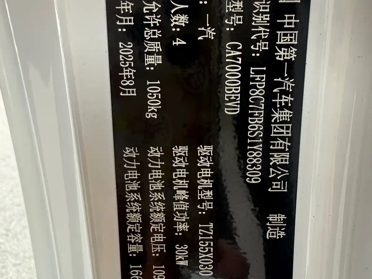 BESTUNE PENTIUM PONY