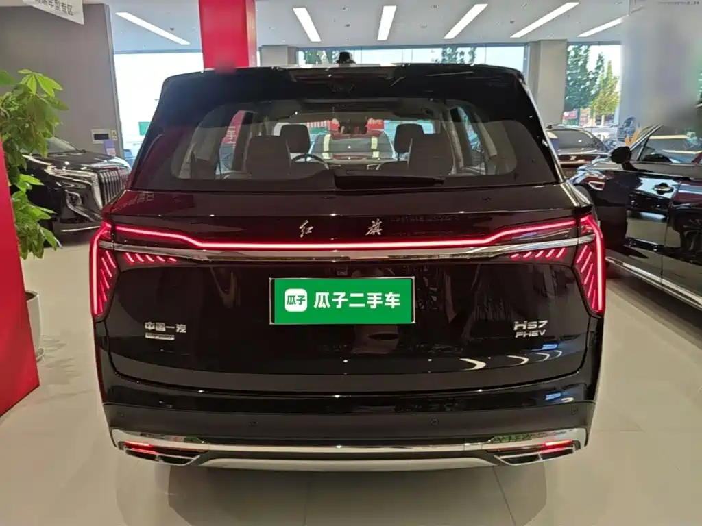 Фото 6 - Hongqi HS7 PHEV