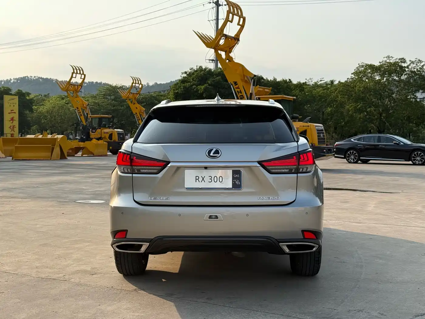 Lexus RX 2021 300 AWD Special Edition фото 8