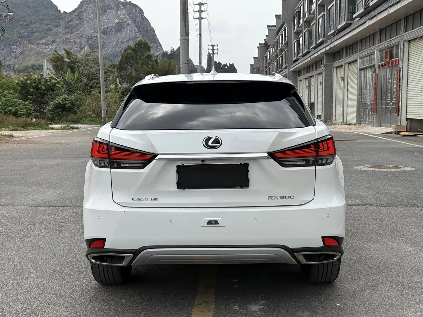 Lexus RX 2020 300 4WD Luxury Edition China VI фото 21